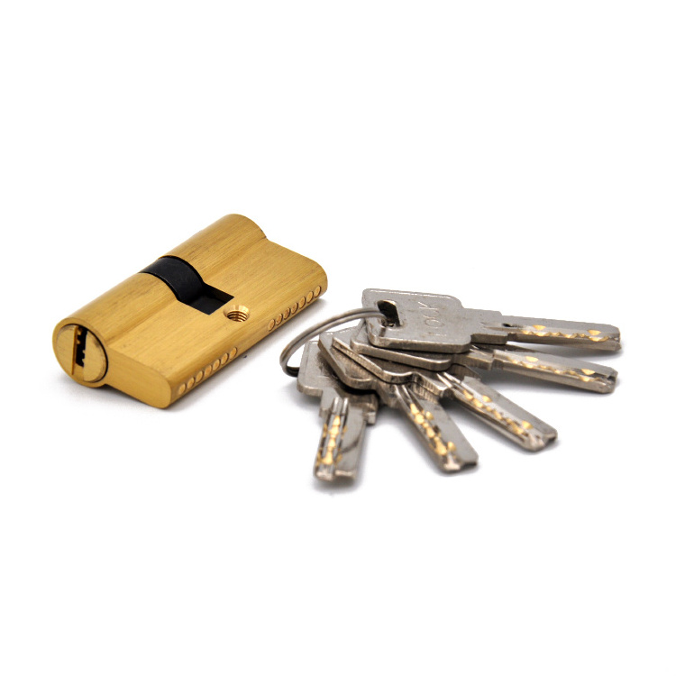 Hot Selling high security 60MM euro brass cylinder lock