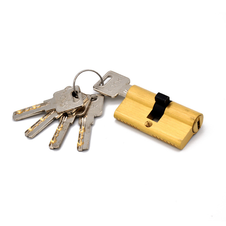 Hot Selling high security 60MM euro brass cylinder lock