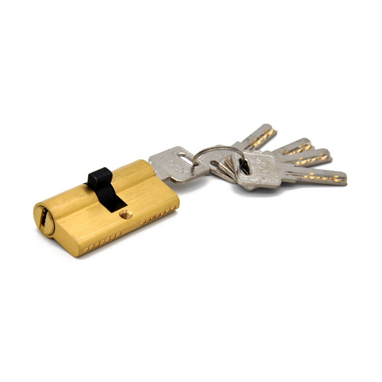 Hot Selling high security 60MM euro brass cylinder lock