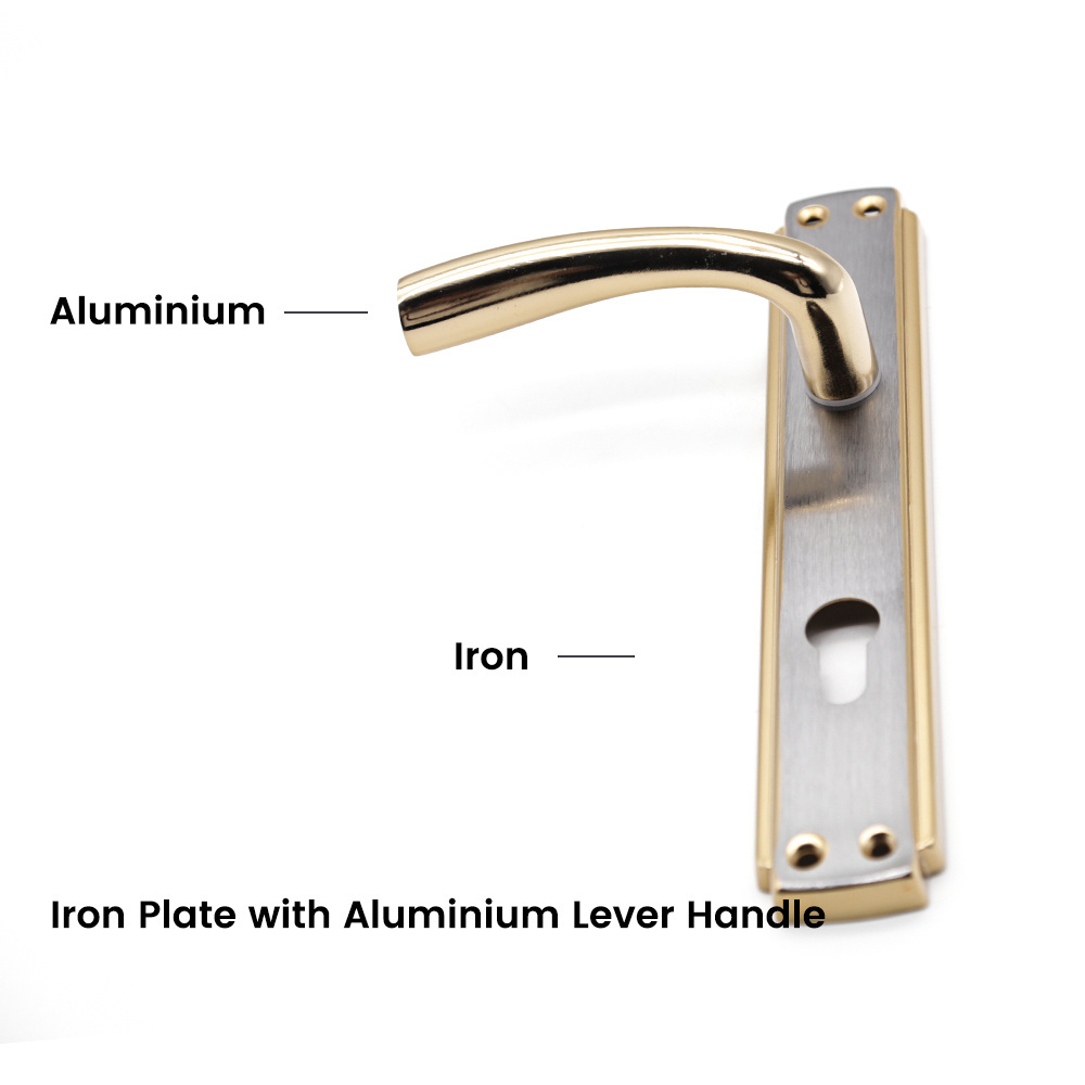 Luxury Panel Iron with Aluminum Door Handle for Wooden Door