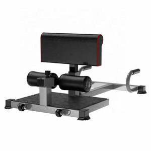 DDS 1507 W1n Gym equipment sissy squat station machine bench sissy exercise squat deep squat stand exercise machine