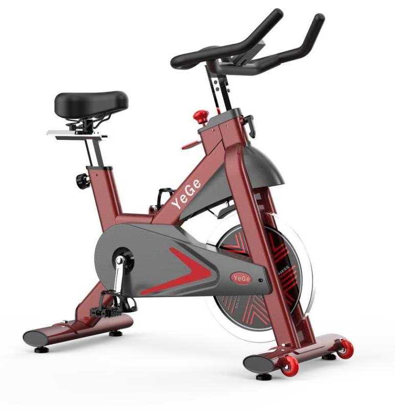 FEINIU High End Professional Fitness 22kg Flywheel Dynamic Bicycle For Commercial Use Spinning Bike