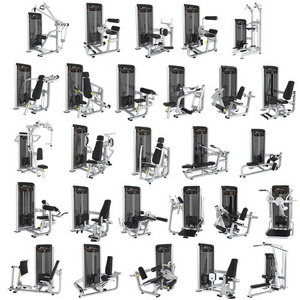 Bicep Tricep Peck Pec Deck Fly Chest Shoulder Leg Press Pin Load Selection Machines Gym Equipment Machines Commercial