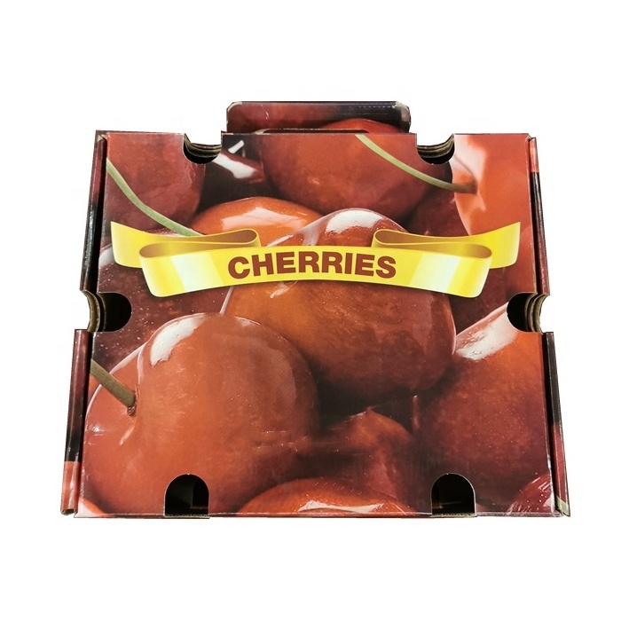 Custom Moving Corrugated Carton Fruit Boxes for Apple Orange Avocado Strawberry Packaging