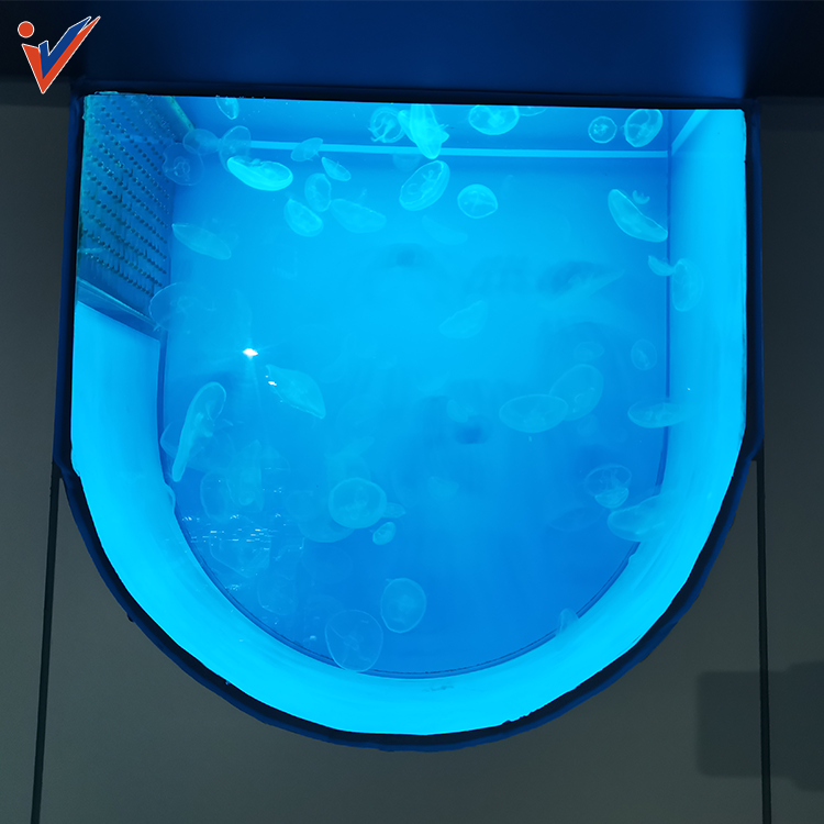 Customized Size Lucite Big Marine Aquariums, Fish Tank Acrylic Jellyfish Tank%