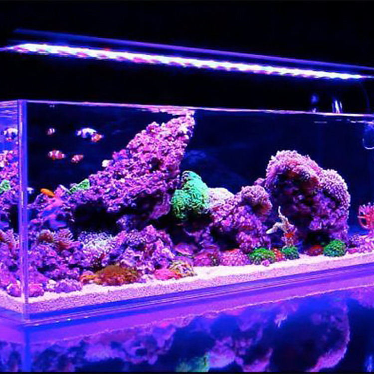 2020 Hot Sale Supermarket Large Commercial Fish Tanks/Commercial Aquarium Tanks