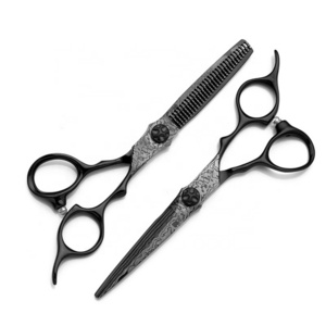 HS-0038 Hairdressing Barber Shears Set Titanium Japan Steel 440c Mizutani  Salon Scissors Professional Hair Cutting Beauty