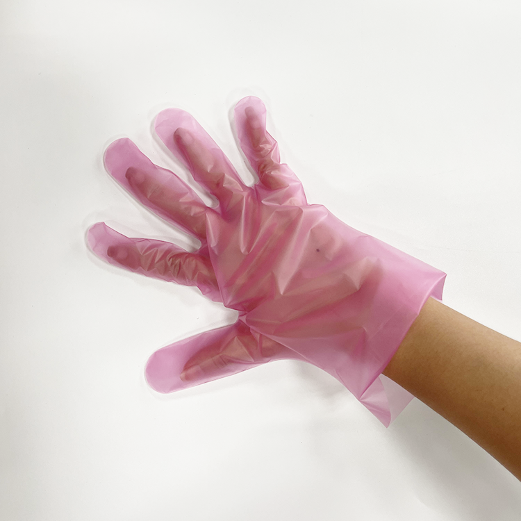 Professional Disposable Tpe Gloves Powder Free Cpe Tpe Disposable Gloves