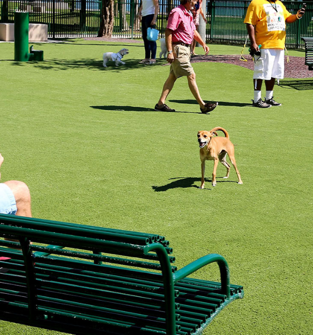 Patio Landscape carpet Soft artificial grass for pets and playground Sport turf