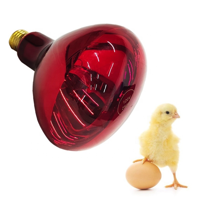 infrared light lamp heat resistant bulb R125 250W