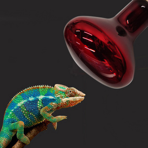 infrared brooding bulbs Reptile Heat Lamps infrared heater bulb replacement for pet snakes birds lizards use