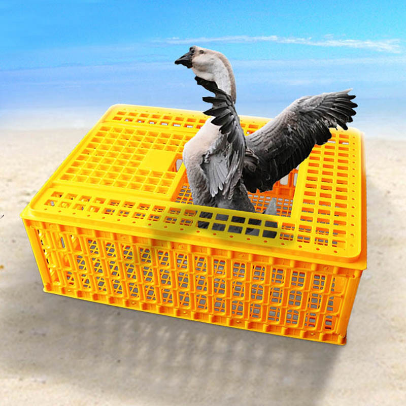 factory wholesale poultry transport animal transport cage for chick chicken goose duck