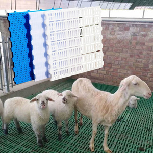 Sheep farming white red 40*60 cm other size plastic slatted floors sheep drain plate for pigs goat sheep farm breeding using