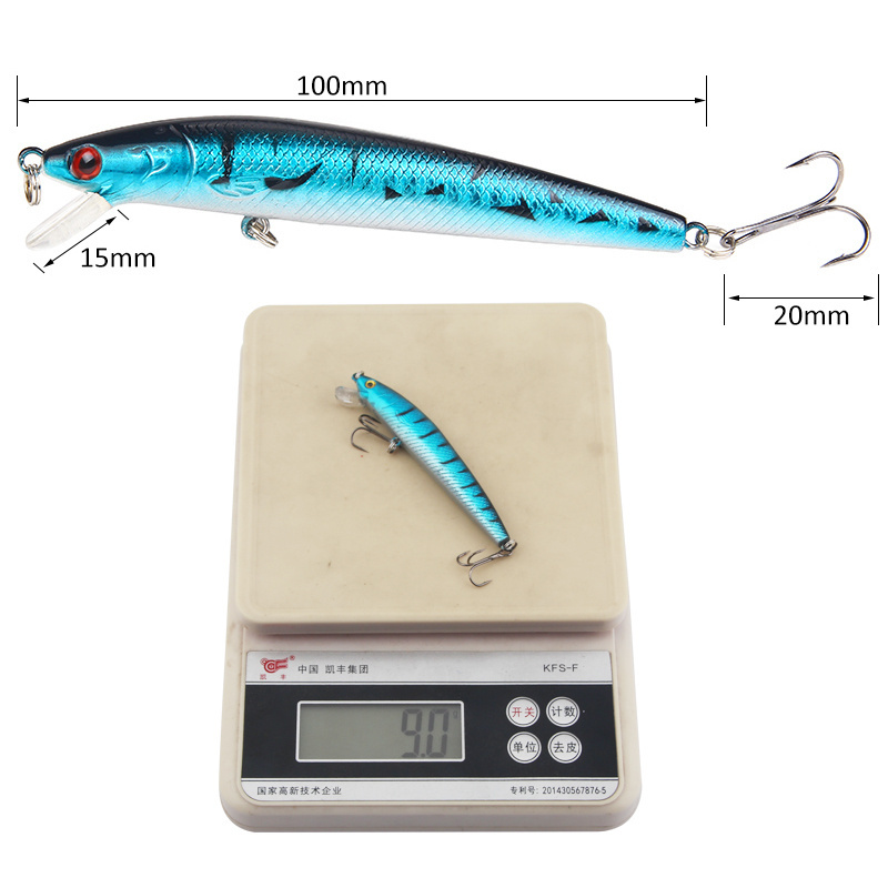 Hard Baits FLOATING Minnow 10cm/9g Artificial bait Ocean Boat Ocean Beach Fishing lure