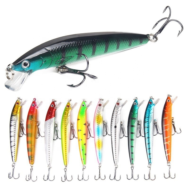 Hard Baits FLOATING Minnow 10cm/9g Artificial bait Ocean Boat Ocean Beach Fishing lure