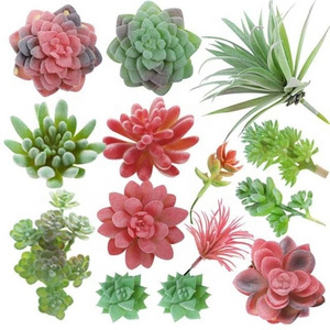 18 Pieces Artificial Succulent Plant Cute Plant Unpotted Plastic Succulents Plants Artificial SET0841