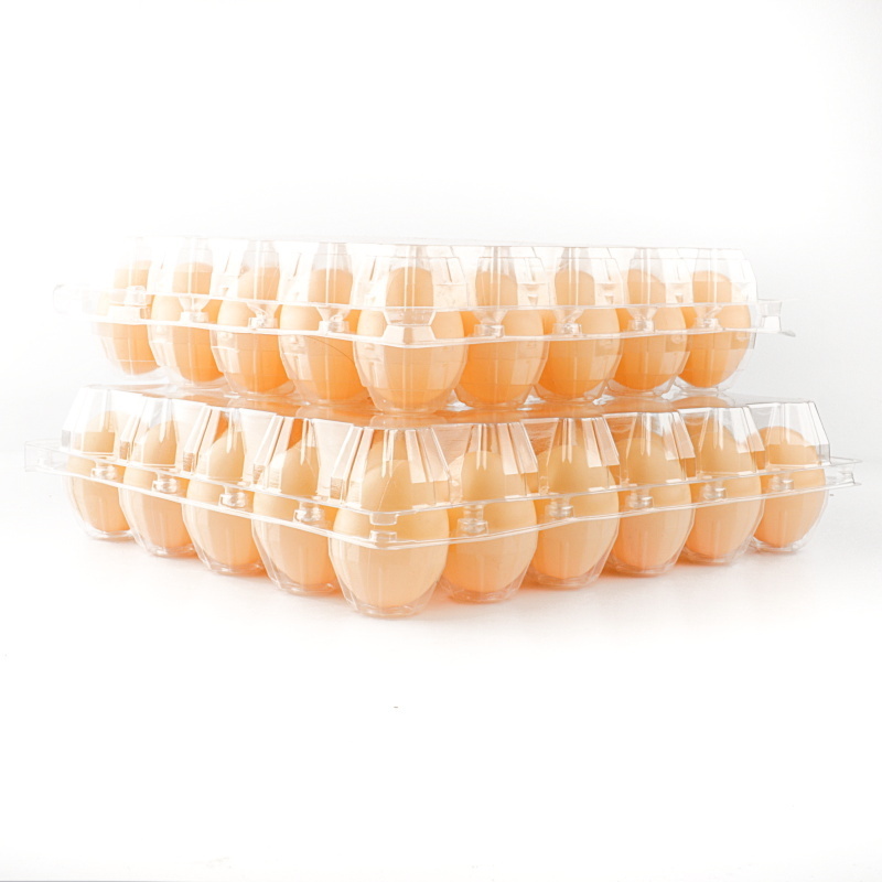 Cheap Price Plastic Egg Packaging  High Quality 6/8/10/12/15/30 Cells chicken Egg Packaging Tray For Sale