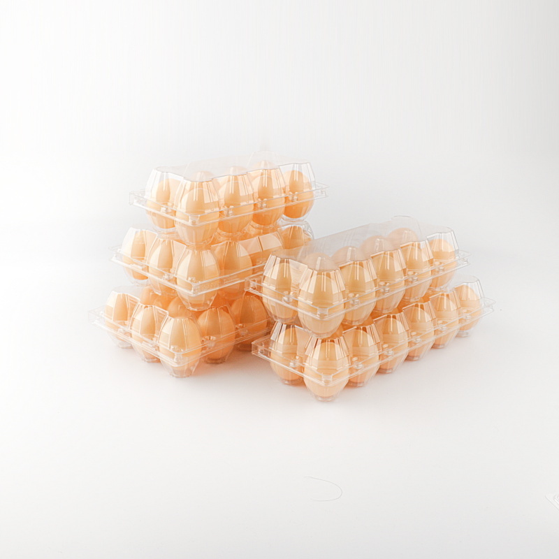 Cheap Price Plastic Egg Packaging  High Quality 6/8/10/12/15/30 Cells chicken Egg Packaging Tray For Sale