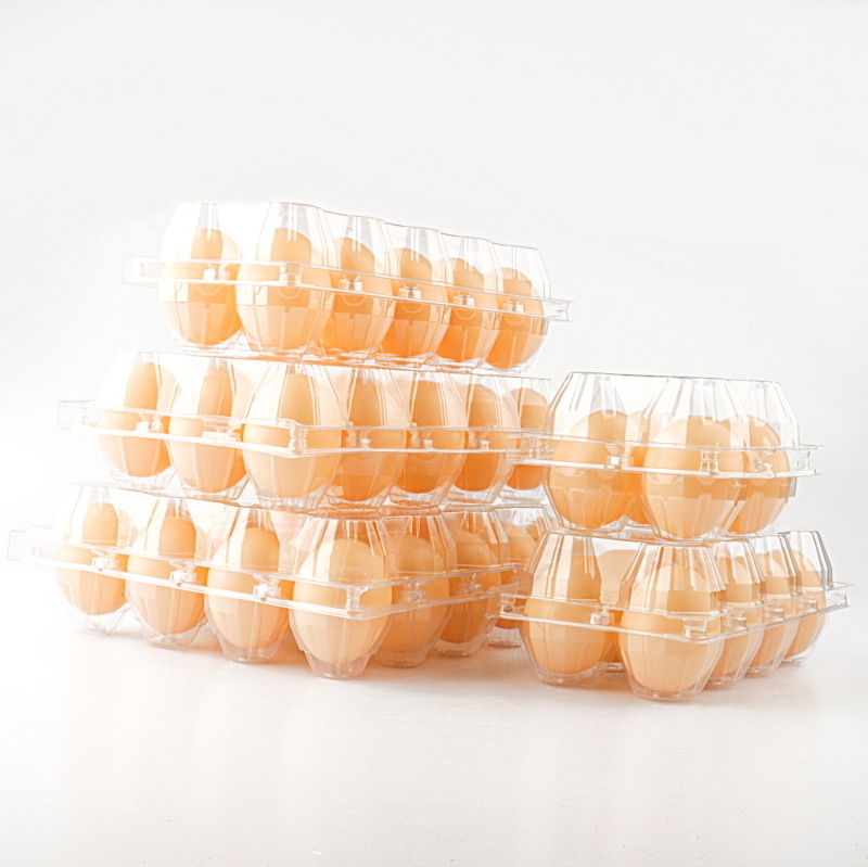 Cheap Price Plastic Egg Packaging  High Quality 6/8/10/12/15/30 Cells chicken Egg Packaging Tray For Sale