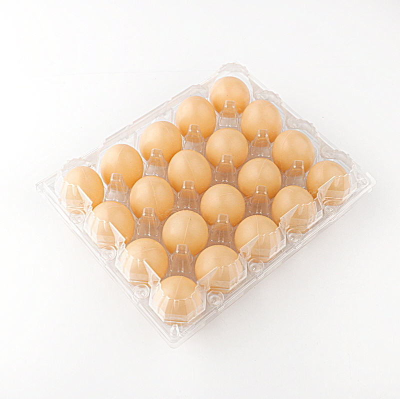 disposable pet egg trays with cover hot sale quail egg packaging tray/box/carton