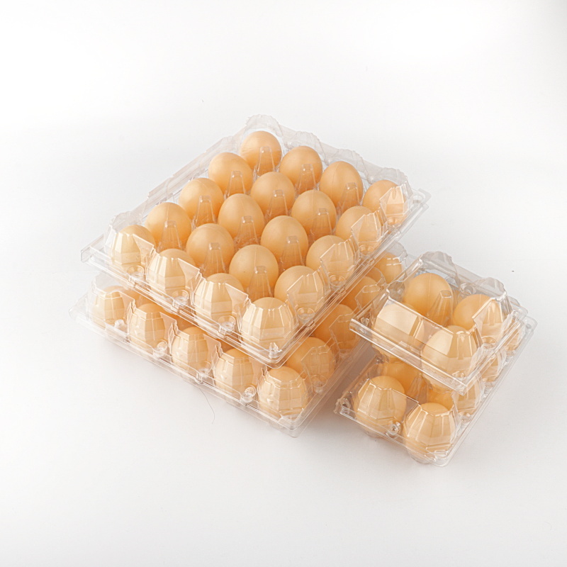 Cheap Price Plastic Egg Packaging  High Quality 6/8/10/12/15/30 Cells chicken Egg Packaging Tray For Sale