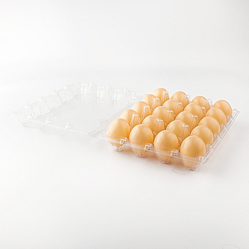 disposable pet egg trays with cover hot sale quail egg packaging tray/box/carton