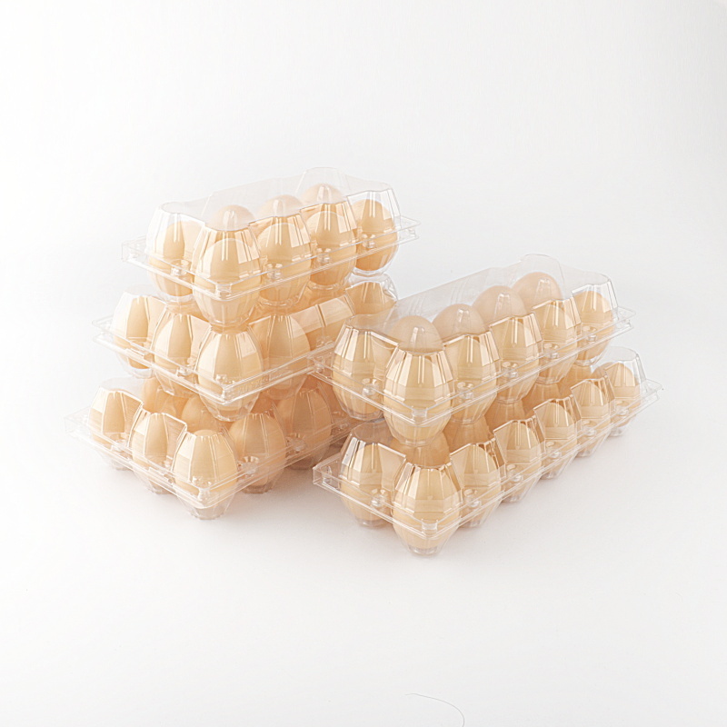 disposable pet egg trays with cover hot sale quail egg packaging tray/box/carton