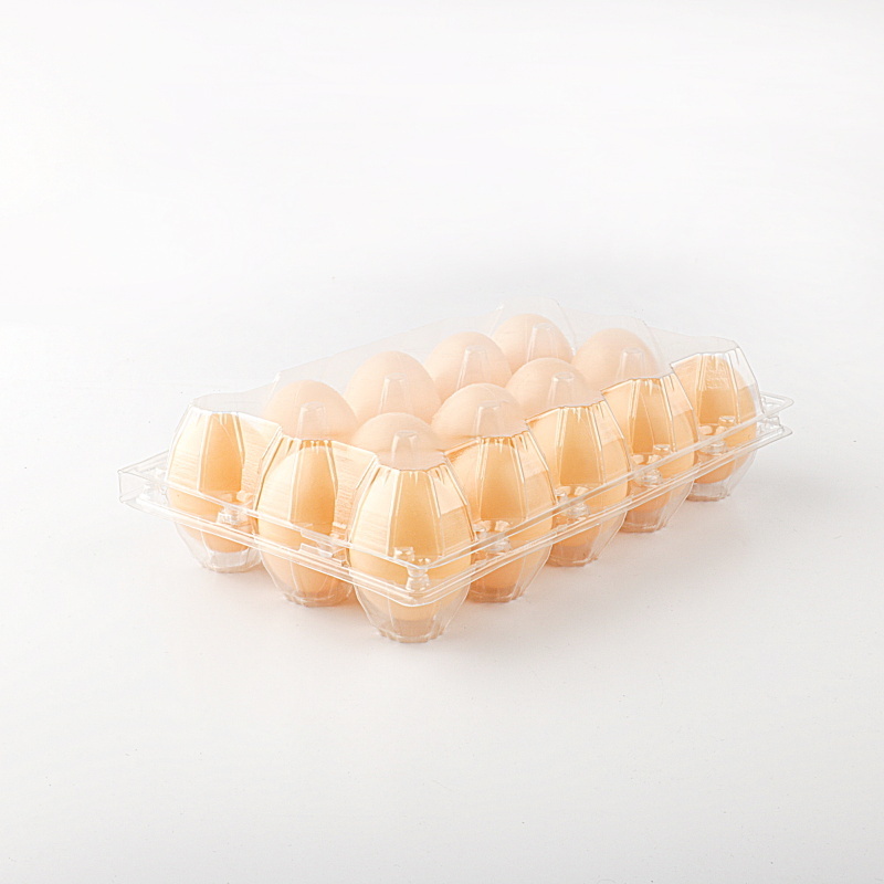 disposable pet egg trays with cover hot sale quail egg packaging tray/box/carton