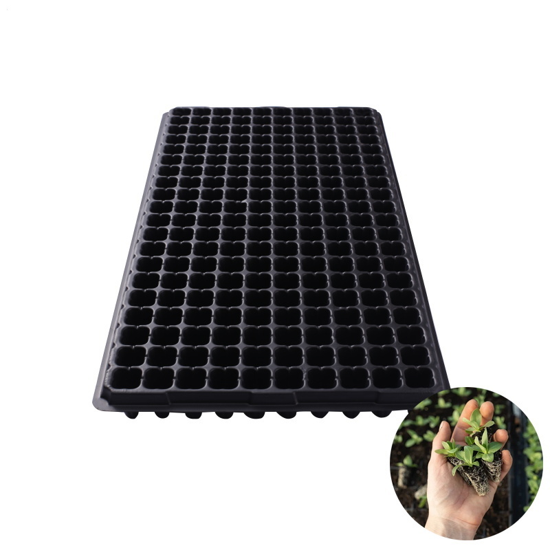 Durable Plastic Seedling Tray Factory Price Garden Seedling Nursery Trays For Plants