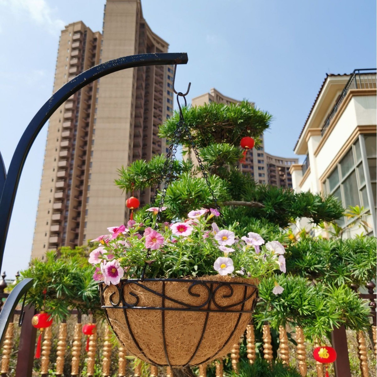 Factory direct sales lace Iron art Hanging basket Flower pot coconut fiber Flower basket Flower arrangement Decorative basket