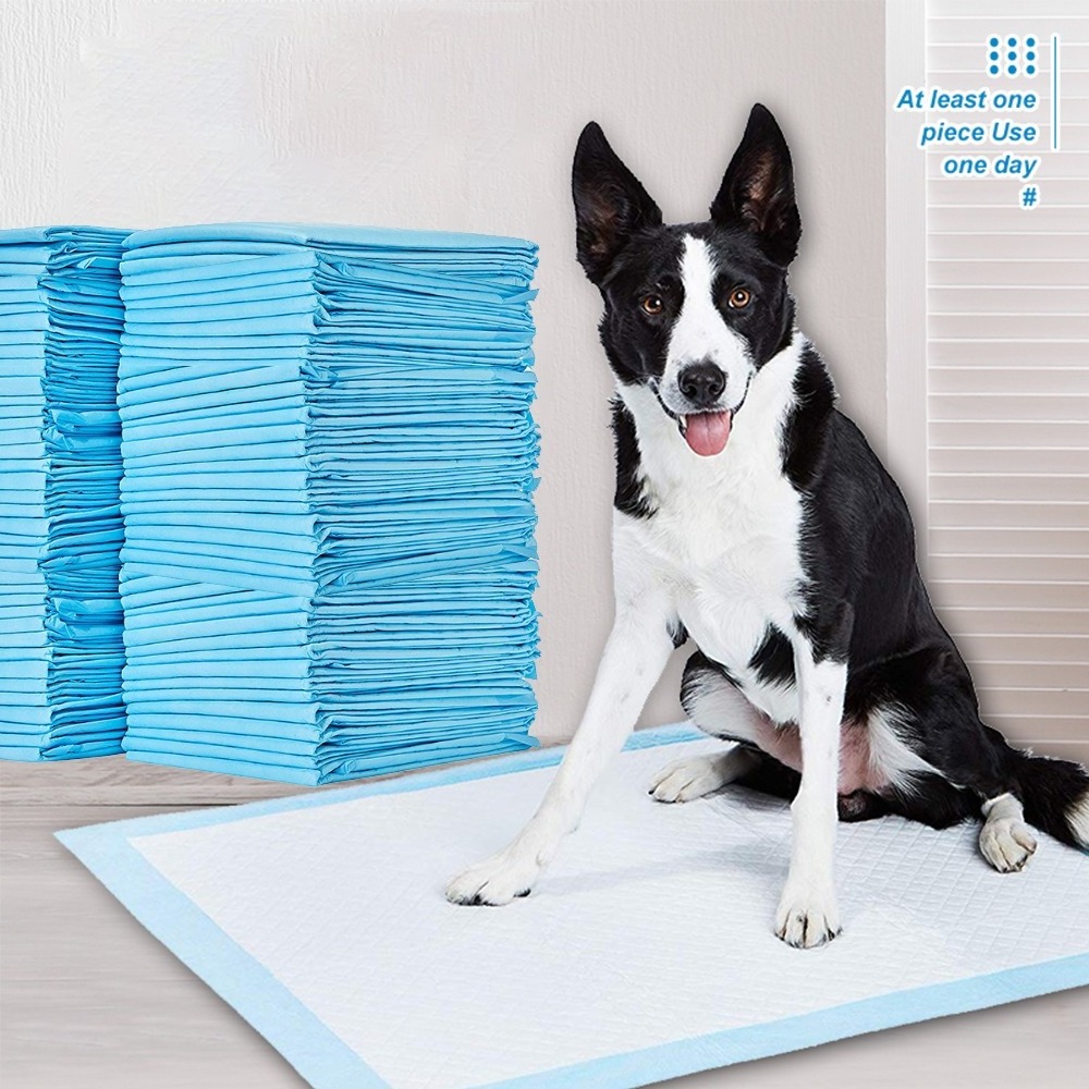 Hot Sales Super Absorbent Pet Diaper Dog Training Pee Pads Disposable Urine Nappy Mat for Cats Dog Diapers Cage Mat Pet Supplies