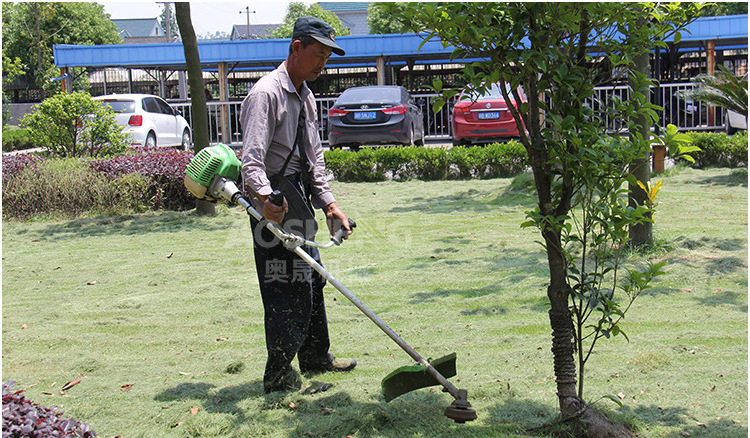 Diesel Lawn Mower Reaplesment Engine Hand-Pushed Gasoline Atv Petrol Lawn Mowers For Sale