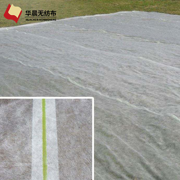 PP Agricultural Non Woven Fabric/Cold winter anti freeze plant cover fabric wind protect Agricultural Fabric ground cover