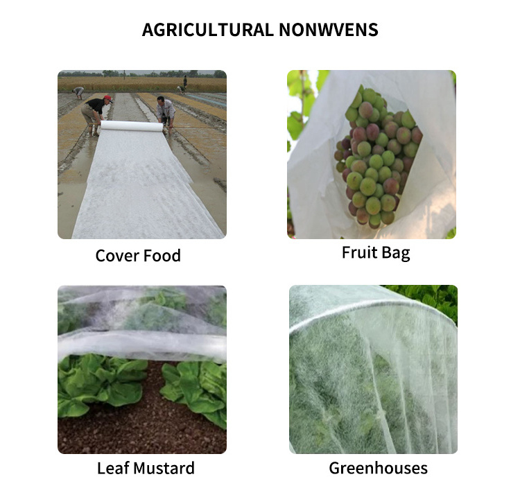 PP Agricultural Non Woven Fabric/Cold winter anti freeze plant cover fabric wind protect Agricultural Fabric ground cover