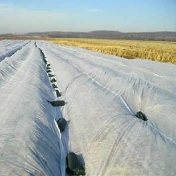 PP Agricultural Non Woven Fabric/Cold winter anti freeze plant cover fabric wind protect Agricultural Fabric ground cover