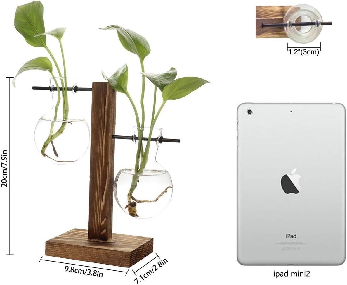 Modern Desktop Plant Terrarium with Retro Solid Wooden Stand and Metal Swivel Holder for Hydroponics Plants Home decor