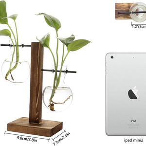 Modern Desktop Plant Terrarium with Retro Solid Wooden Stand and Metal Swivel Holder for Hydroponics Plants Home decor