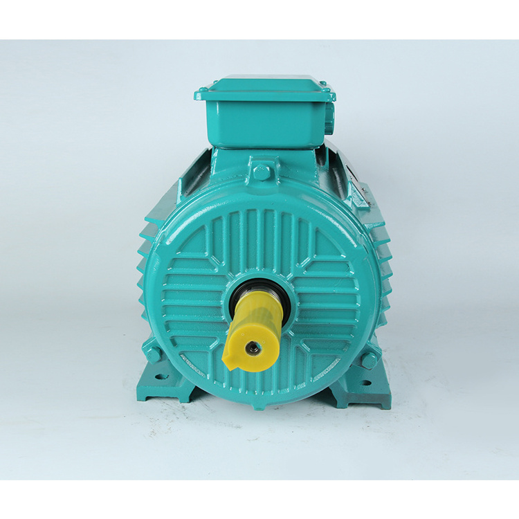 IEC60034/IE1/IE2/IE3/IE4 High Torque Low Rpm Induction Three phase Asynchronous Electric Ac Motor