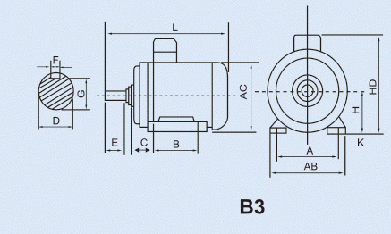 y2 12 hp electric motor