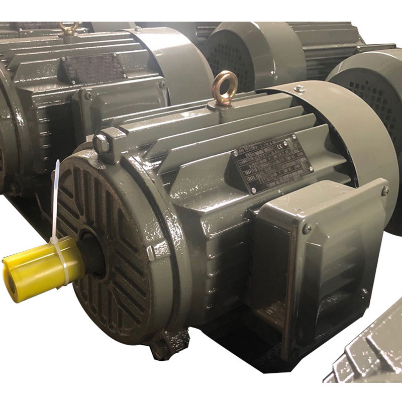 IEC60034/IE1/IE2/IE3/IE4 High Torque Low Rpm Induction Three phase Asynchronous Electric Ac Motor