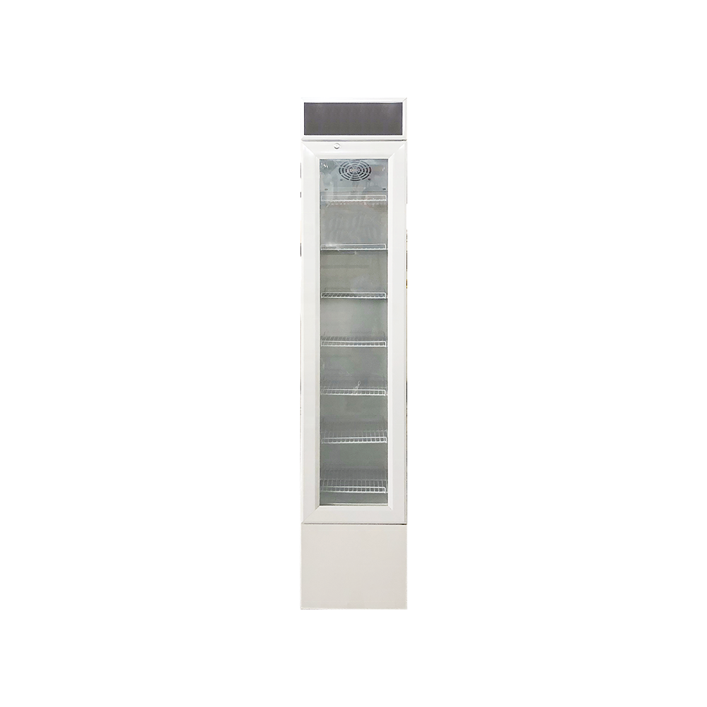 118L Commercial Upright Ice Cream Frozen-food Display Showcase  Freezer LSD-118L