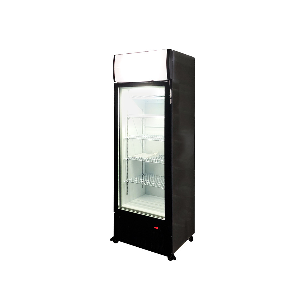 268L Vertical Glass Door Ice Cream Storage Display Freezer LSD-268