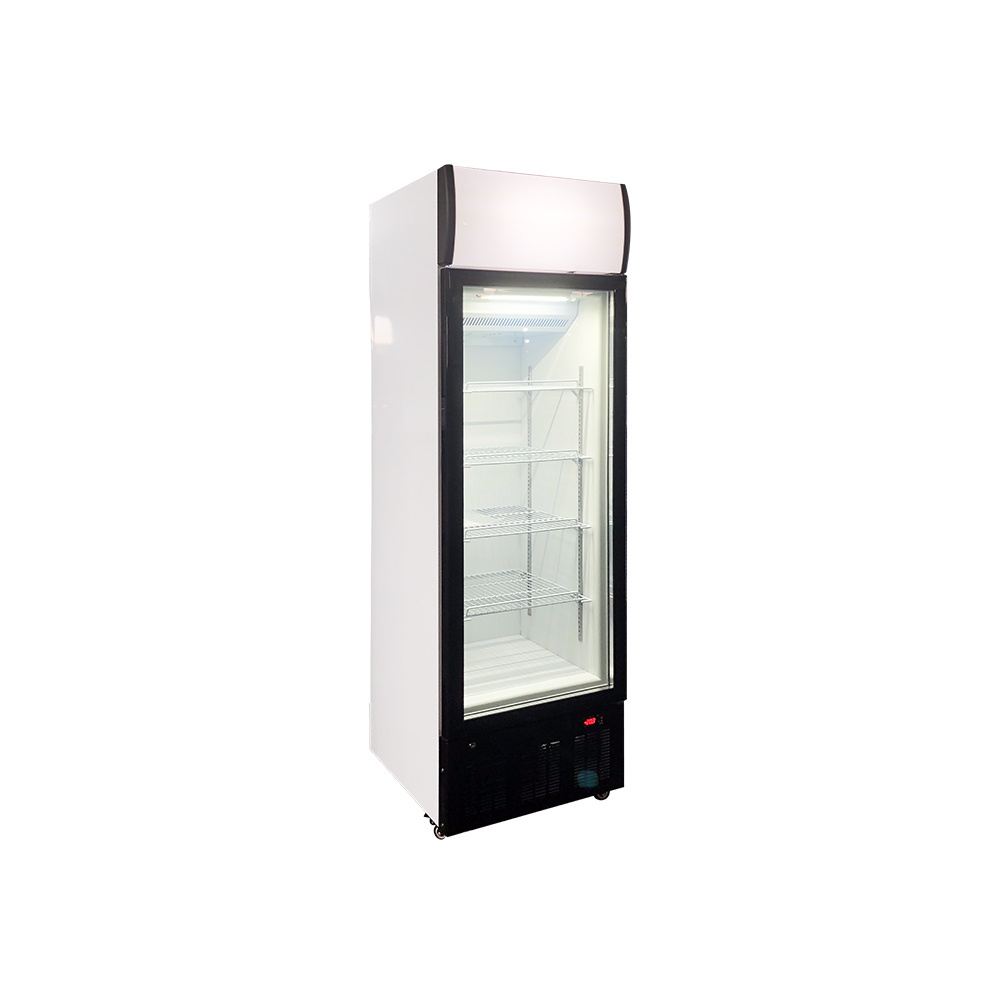 268L Vertical Glass Door Ice Cream Storage Display Freezer LSD-268