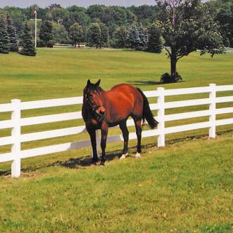 Unique Design Hot Sale Worth Buying Fence Horse Pvc Horse Fence Horse Rail Fence