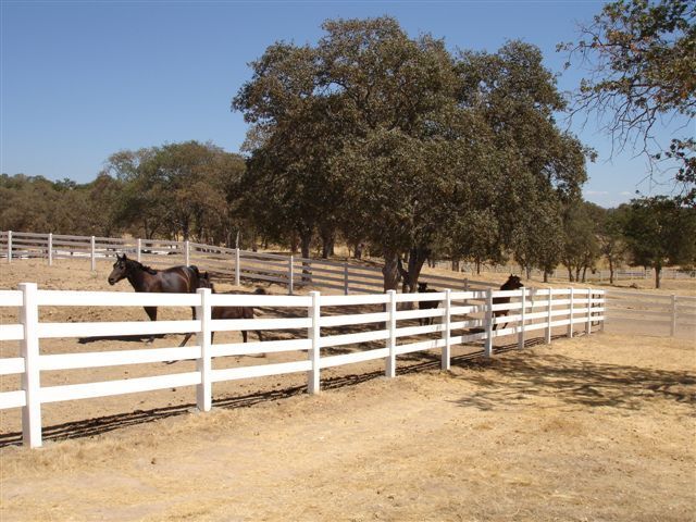 Unique Design Hot Sale Worth Buying Fence Horse Pvc Horse Fence Horse Rail Fence