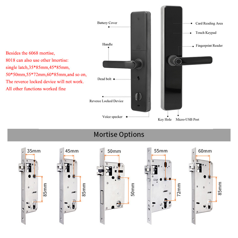 Bilixo smart electric handle digital door lock locks & keys front for matel home with tuya wifi gate fingerprint mortise latch