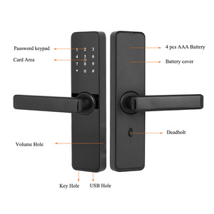 TTlock code smart electronic door locks cerradura inteligente Locker Lock with USB Charging Black key for home hotel apartment