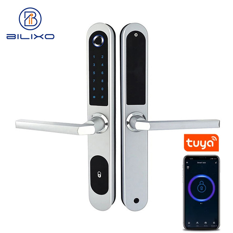 Weatherproof Tuya BLE Biometric Fingerprint Aluminum Sliding Smart Door Lock with Password