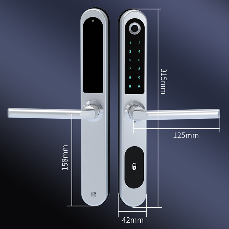 Weatherproof Tuya BLE Biometric Fingerprint Aluminum Sliding Smart Door Lock with Password