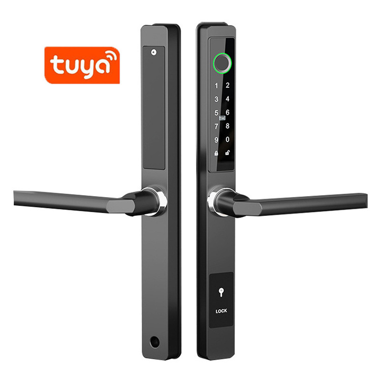 Smart Cerradura Inteligente Waterproof Outdoor TTlock WIFI Biometric  Fingerprint Attendance Access Control Door Lock